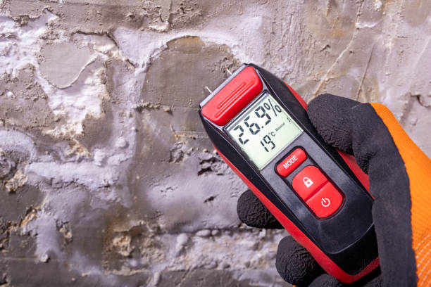 Best DIY Mold Remediation Support Services in Judsonia, AR